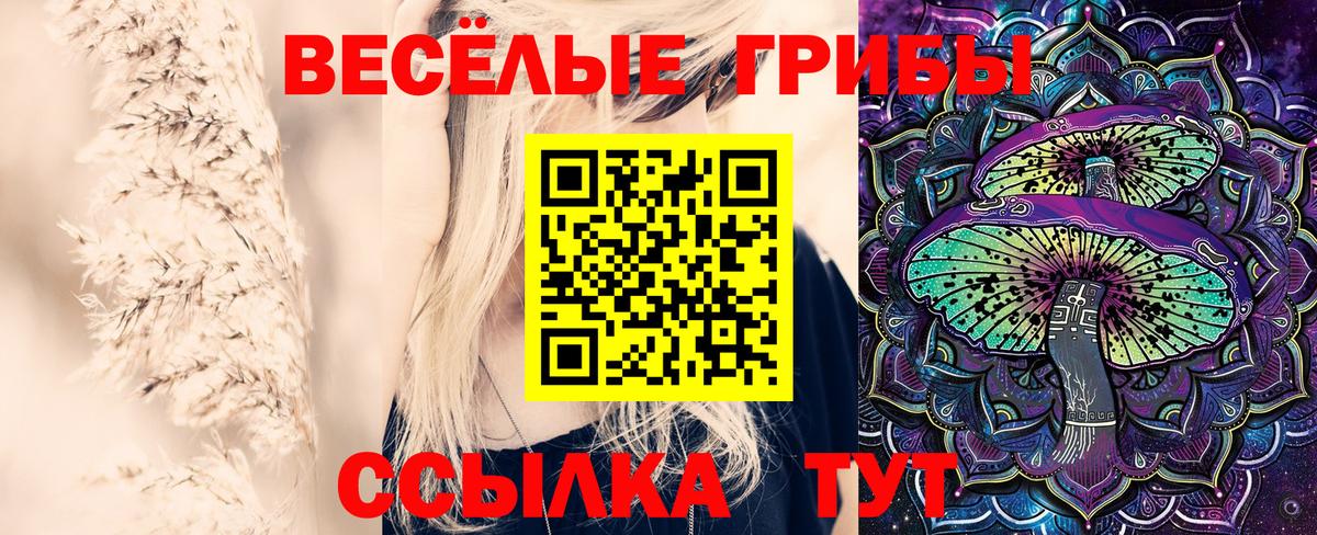 Магадан  купить наркотики цена  Вход с VPN  Галлюциногенные грибы ЛСД 